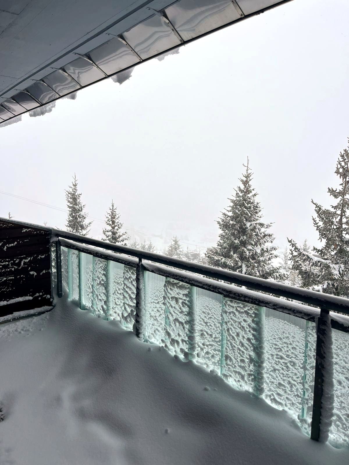 Balcone coperto di neve con vista sugli abeti